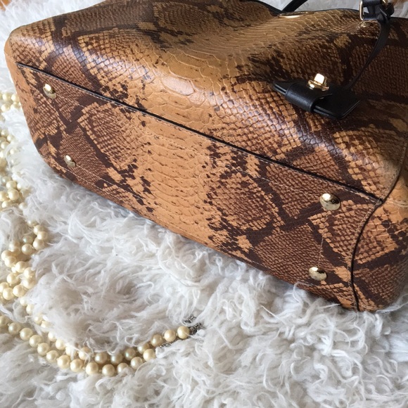 LIMITED EDITION COACH • Gorgeous Python Snake Print Handbag RARE! - Picture 8 of 16
